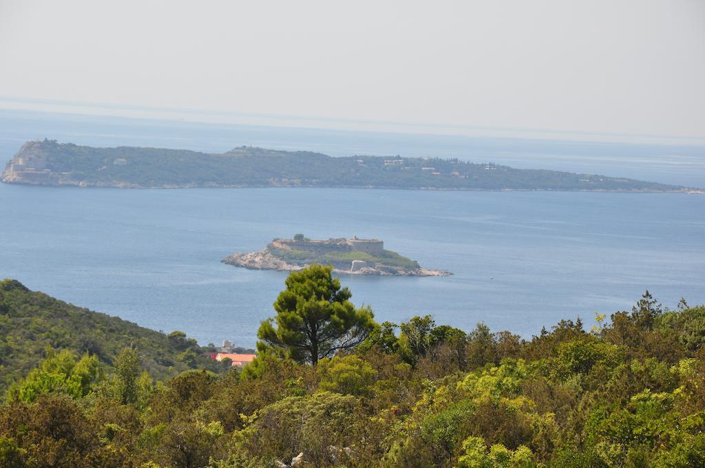 Apartments Villa-G Lustica Tivat Dış mekan fotoğraf